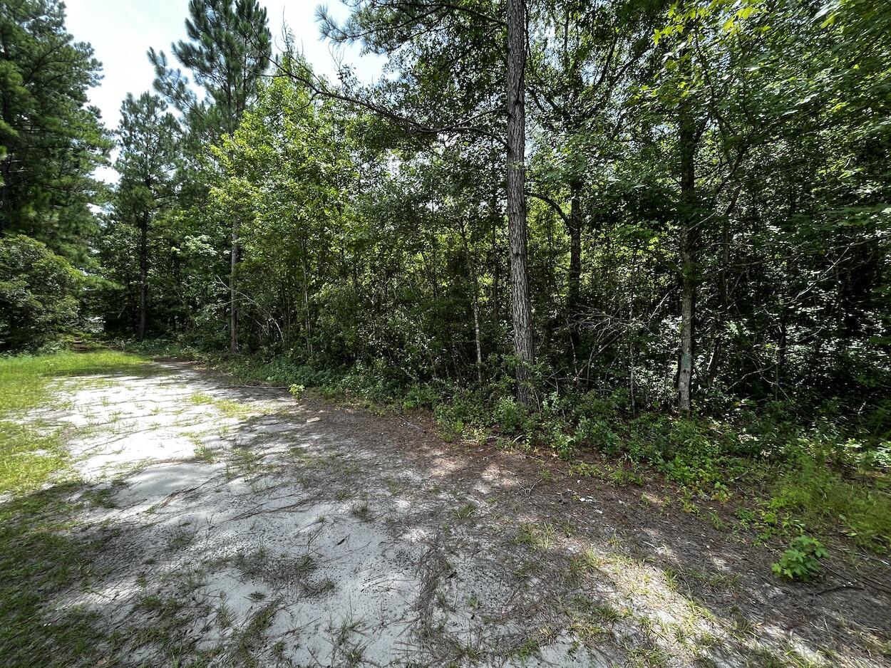 0 Austin Drive Walterboro, SC 29488 - Photo 2 of 4 IMG_7235