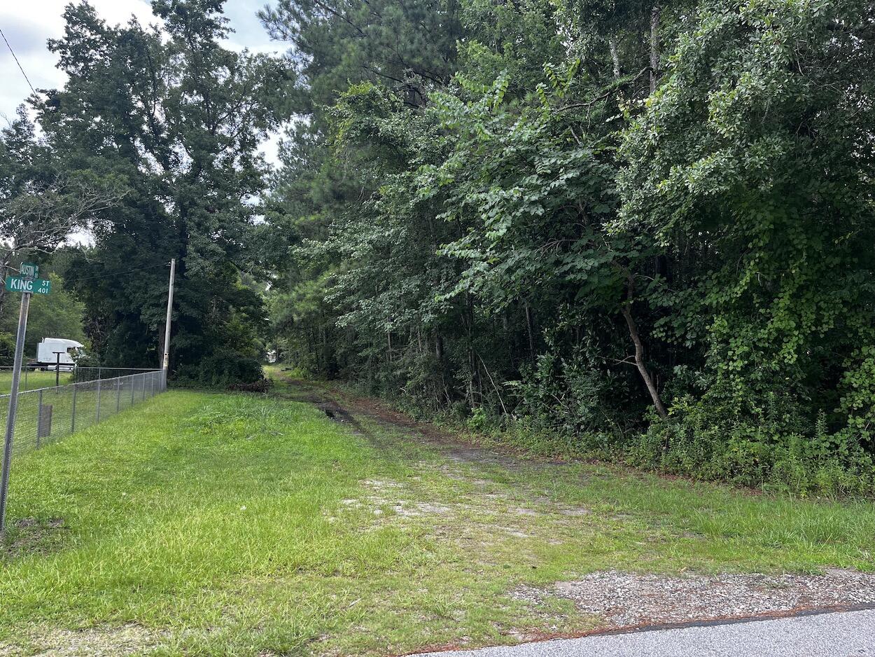 0 Austin Drive Walterboro, SC 29488 - Photo 3 of 4 IMG_7241
