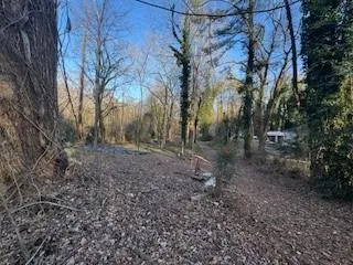 a view of a forest with trees
