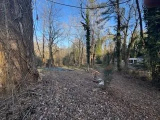 a view of a yard with lots of trees