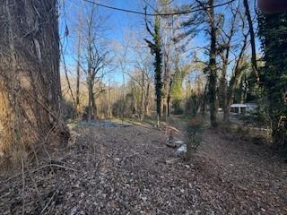 224 Dollar Mill Road Southwest Atlanta, GA 30331 - Photo 2 of 9 a view of a yard with lots of trees