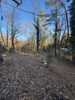 a view of a yard with plants and trees
