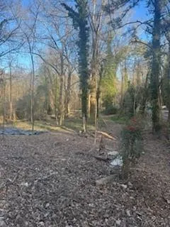 a view of a yard with trees