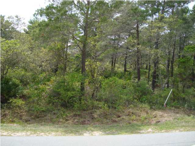 20 Crescent Road Santa Rosa Beach, FL 32459 - Photo 1 of 3 a view of a yard with large trees