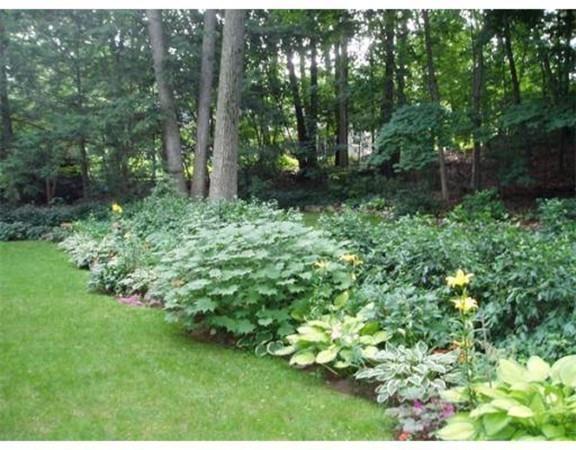 45 Sheridan Road Wellesley, MA 02481 - Photo 22 of 23