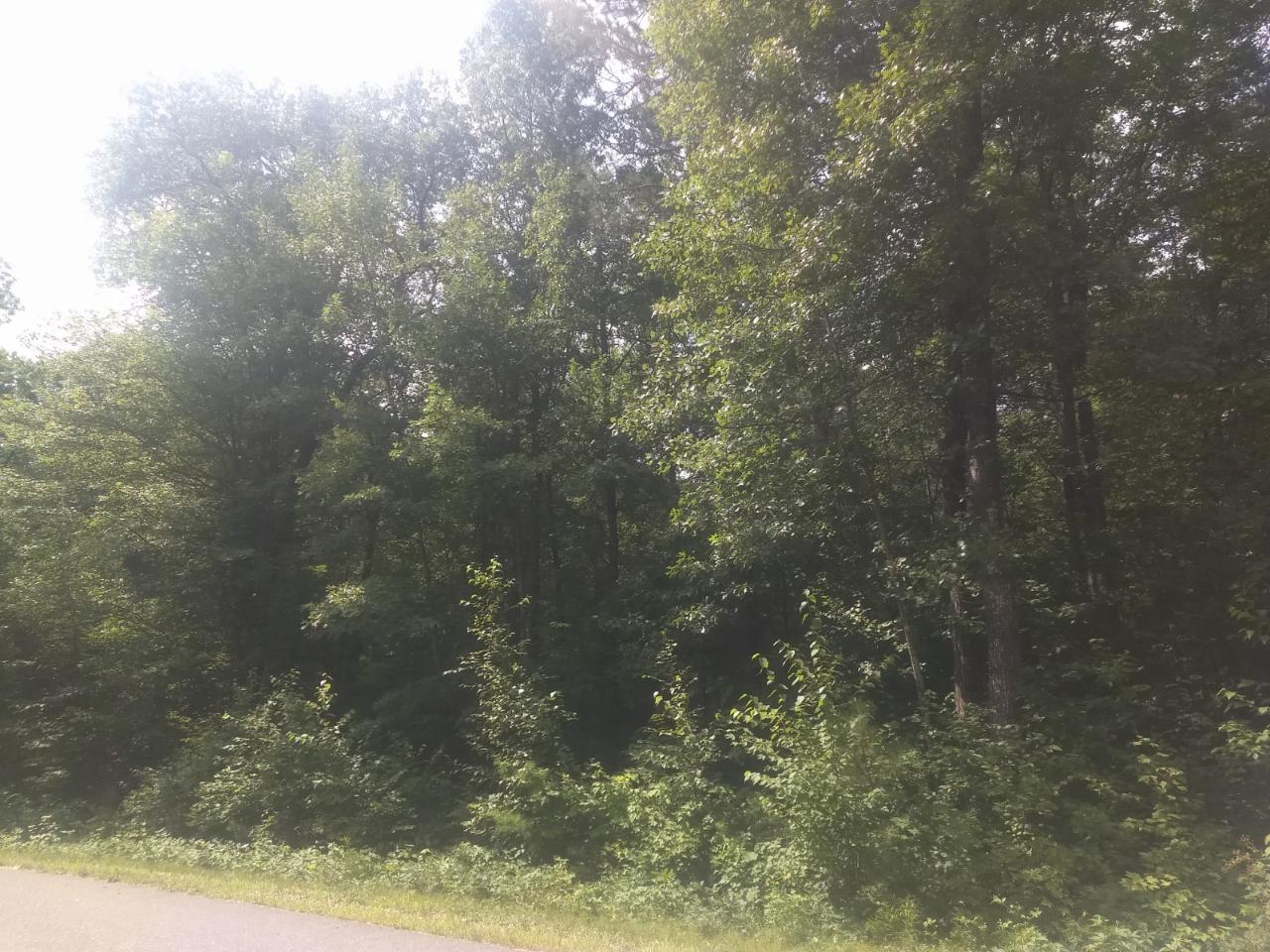 Lot #26 Schlising Road Tomahawk, WI 54487 - Photo 8 of 14 Gallery Image 8