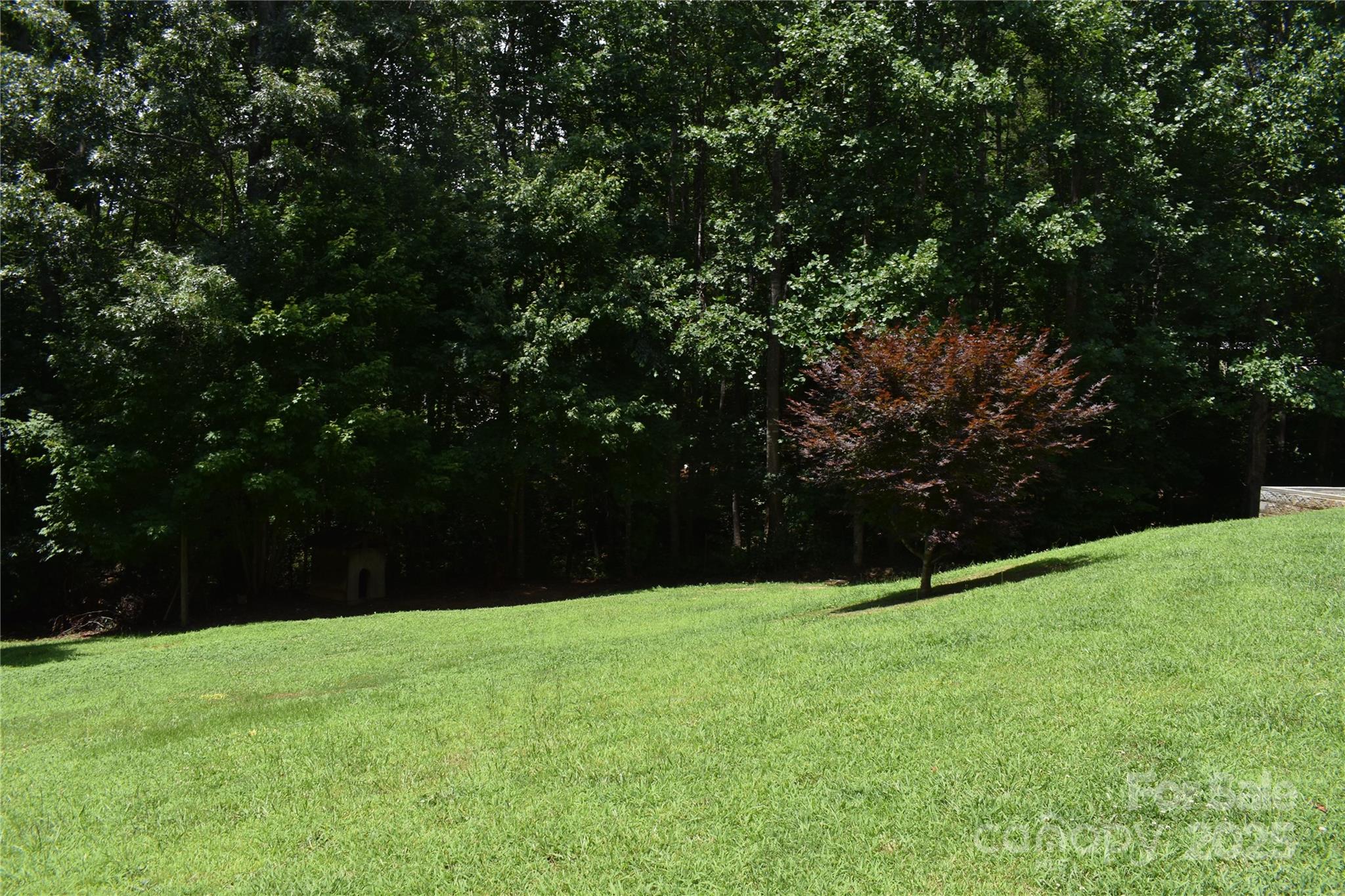 236 Hidden Cove Road Marion, NC 28752 - Photo 28 of 36 Gallery Image 28