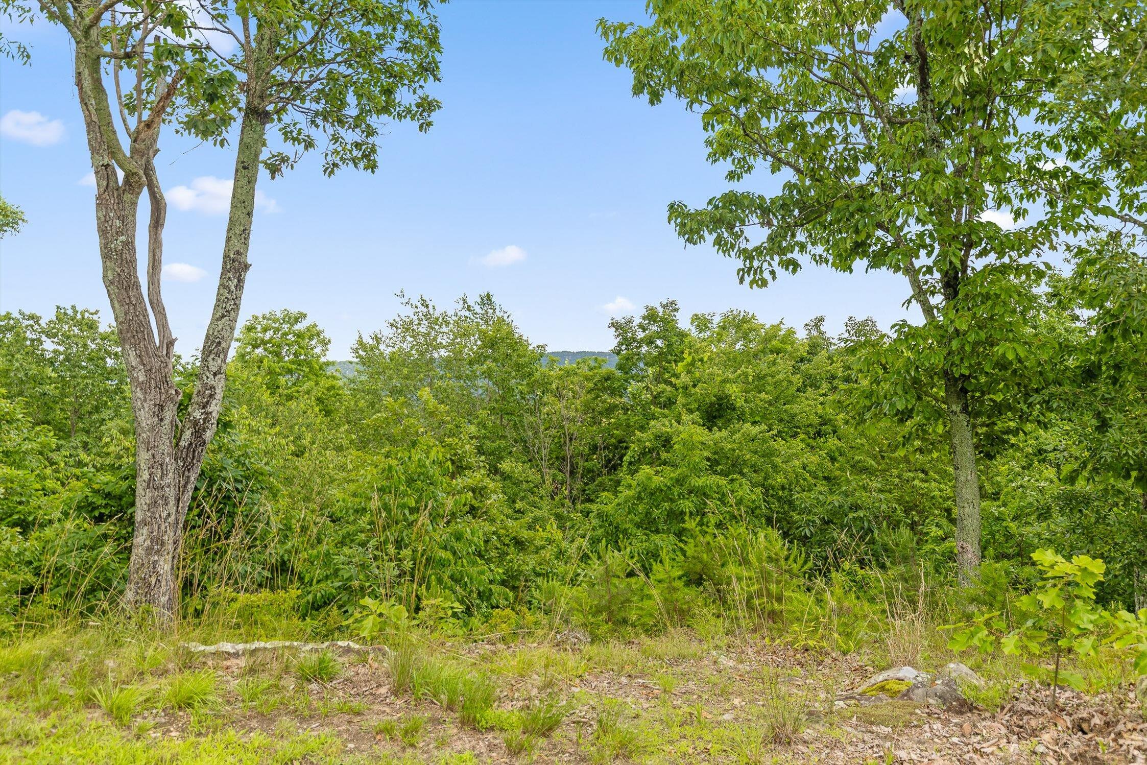 752 County Road 372 Ider, AL 35981 - Photo 25 of 68 26-Co Rd 372-26