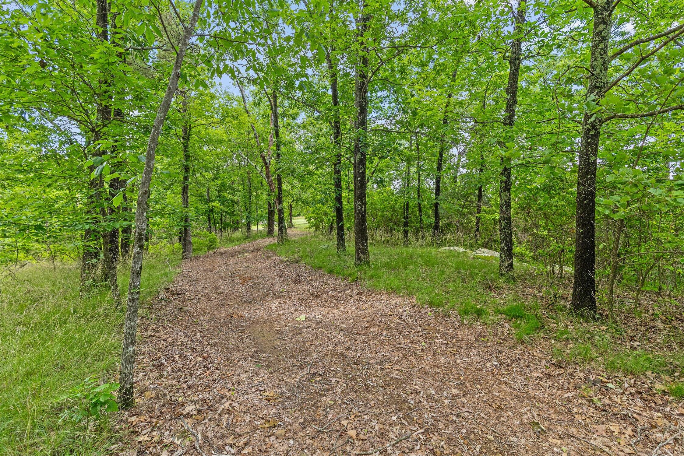 752 County Road 372 Ider, AL 35981 - Photo 26 of 68 27-Co Rd 372-27