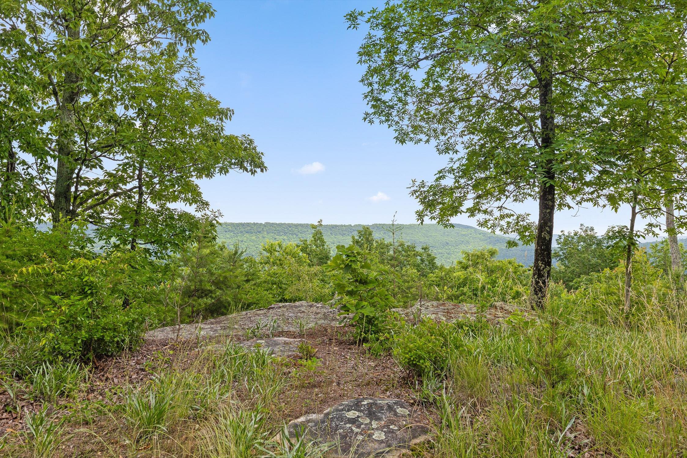 752 County Road 372 Ider, AL 35981 - Photo 30 of 68 31-Co Rd 372-31