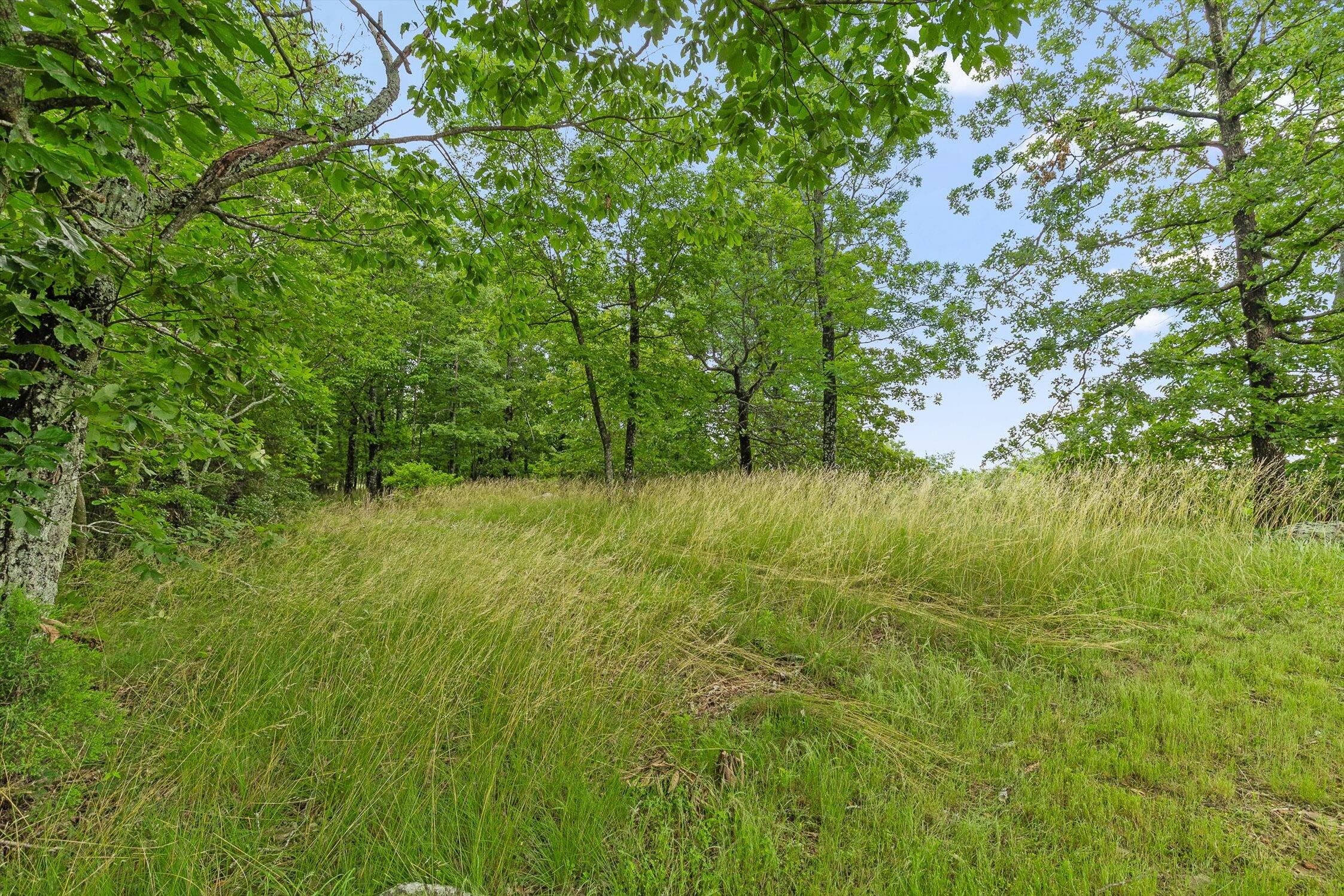 752 County Road 372 Ider, AL 35981 - Photo 31 of 68 32-Co Rd 372-32