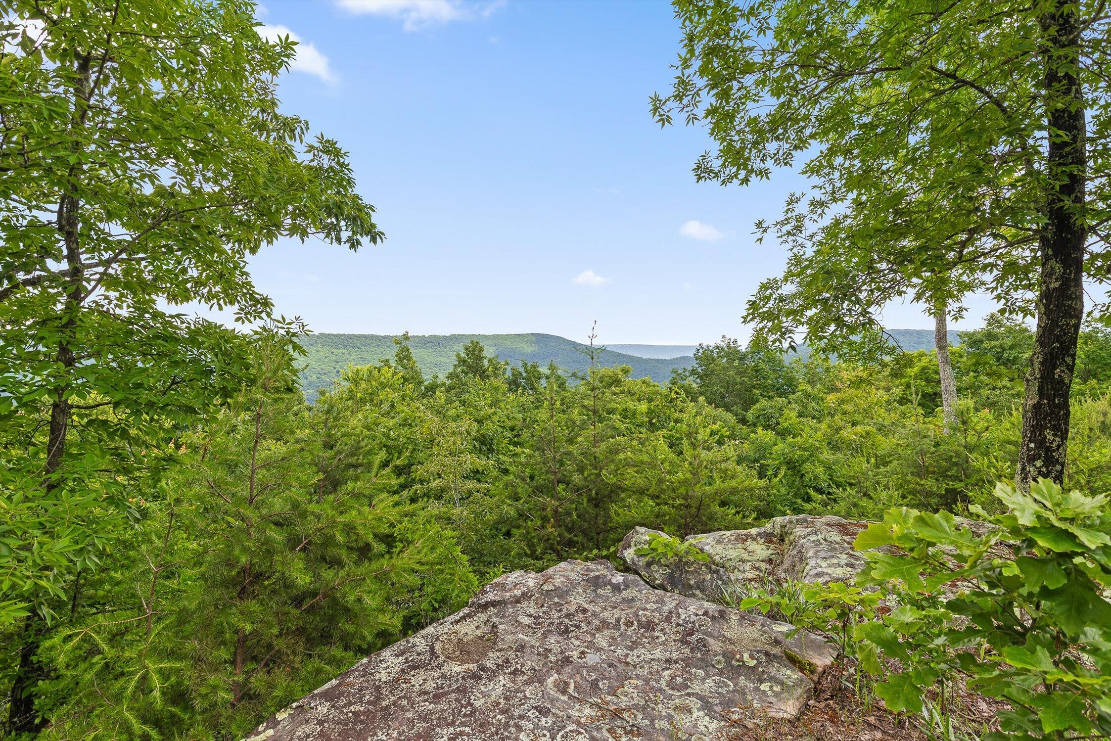 752 County Road 372 Ider, AL 35981 - Photo 32 of 68 33-Co Rd 372-33