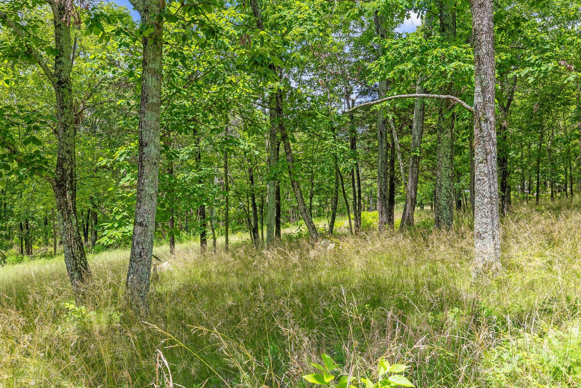 752 County Road 372 Ider, AL 35981 - Photo 34 of 68 35-Co Rd 372-35