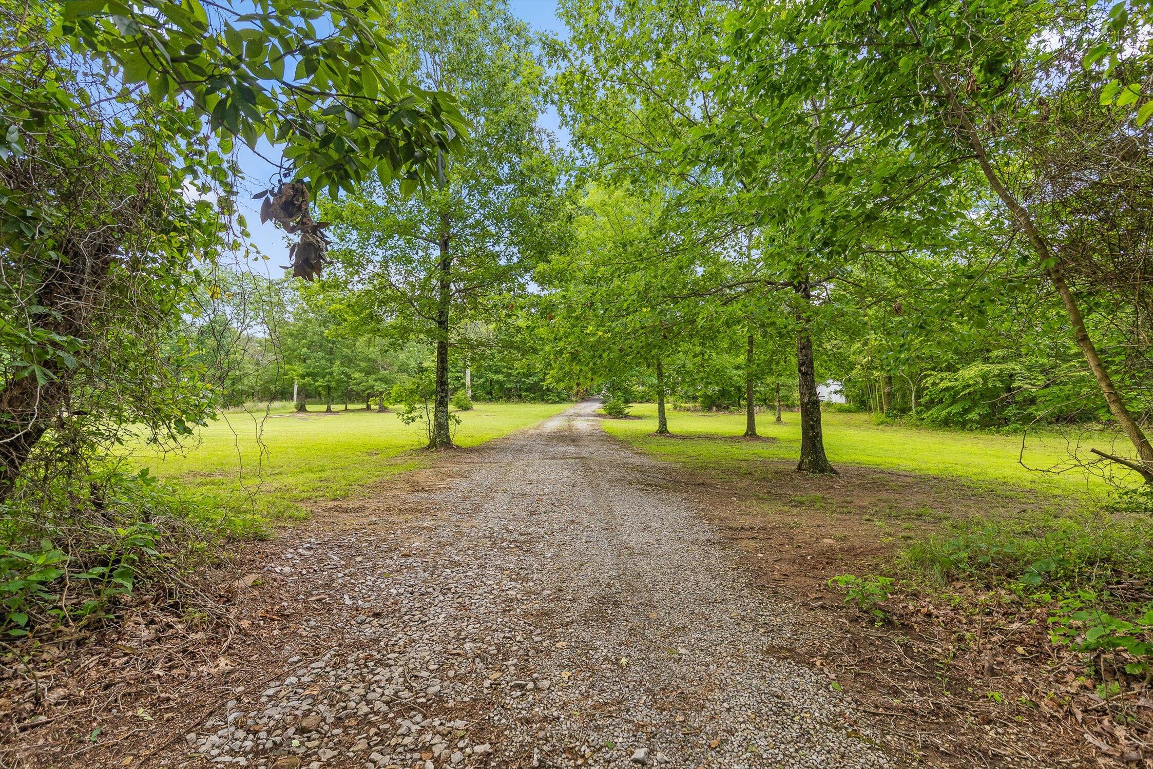 752 County Road 372 Ider, AL 35981 - Photo 38 of 68 39-Co Rd 372-39