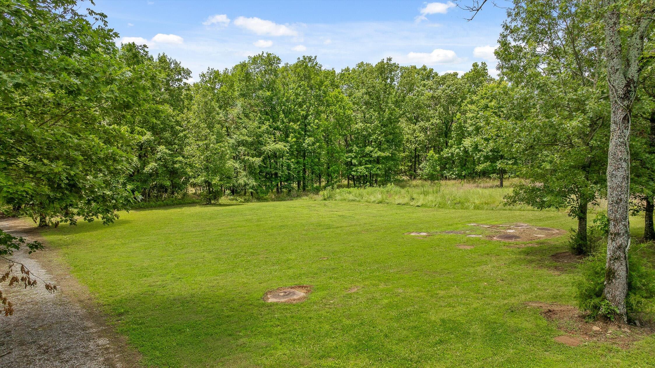 752 County Road 372 Ider, AL 35981 - Photo 40 of 68 41-Co Rd 372-41