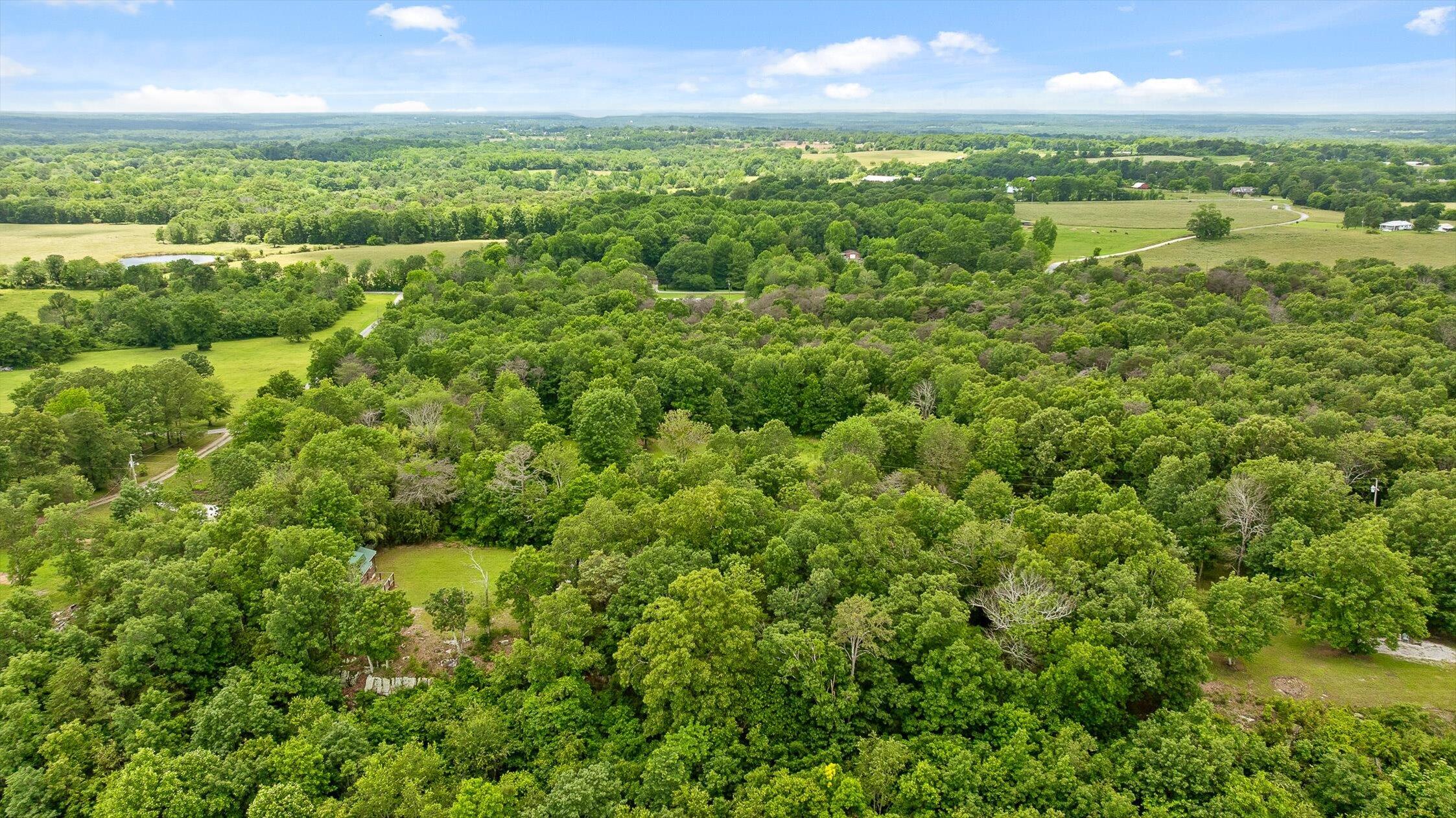 752 County Road 372 Ider, AL 35981 - Photo 45 of 68 46-Co Rd 372-46