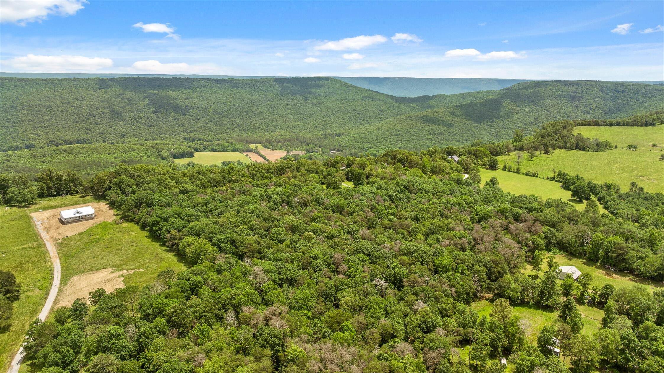 752 County Road 372 Ider, AL 35981 - Photo 53 of 68 55-Co Rd 372-55