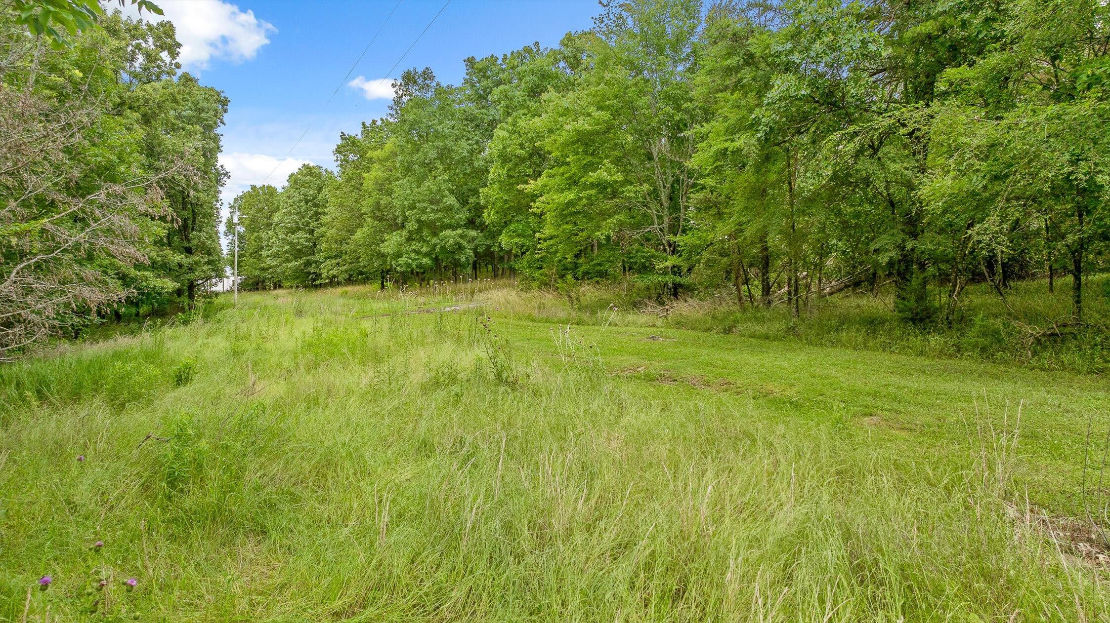 752 County Road 372 Ider, AL 35981 - Photo 61 of 68 64-Co Rd 372-64