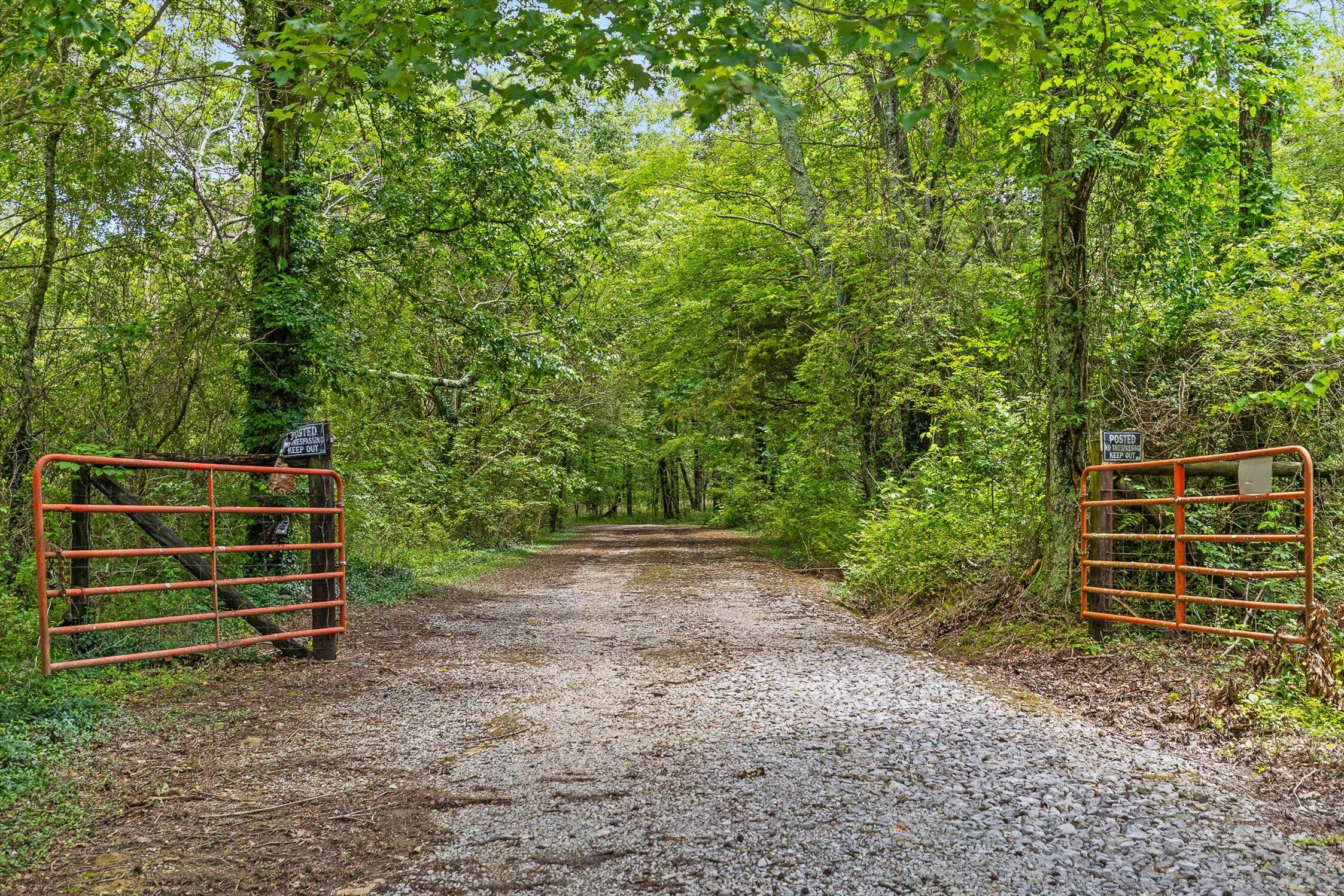 752 County Road 372 Ider, AL 35981 - Photo 7 of 68 03-Co Rd 372-2