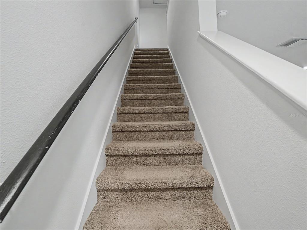 8619 Falling Blue Place Riverview, FL 33578 - Photo 13 of 19