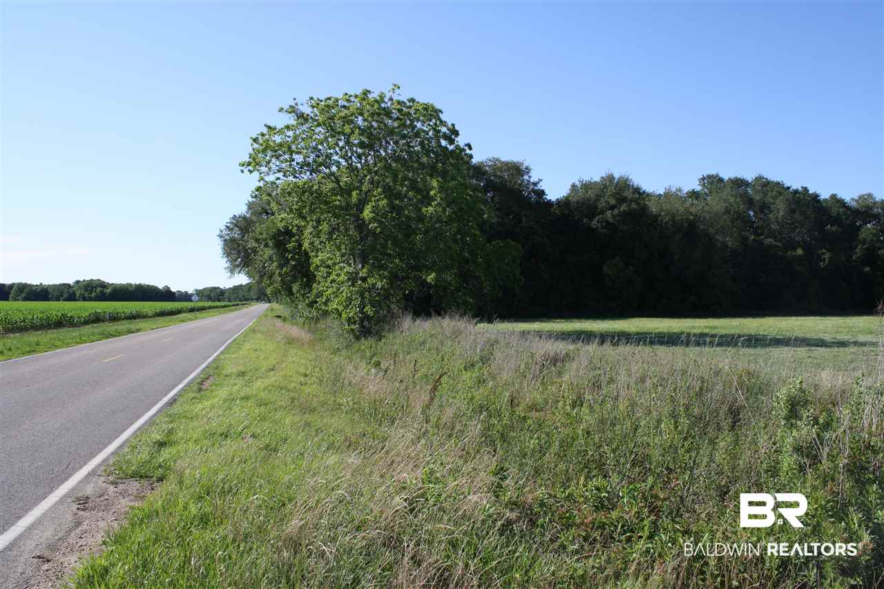 0 Vernant Park Road Foley, AL 36535 - Photo 2 of 20