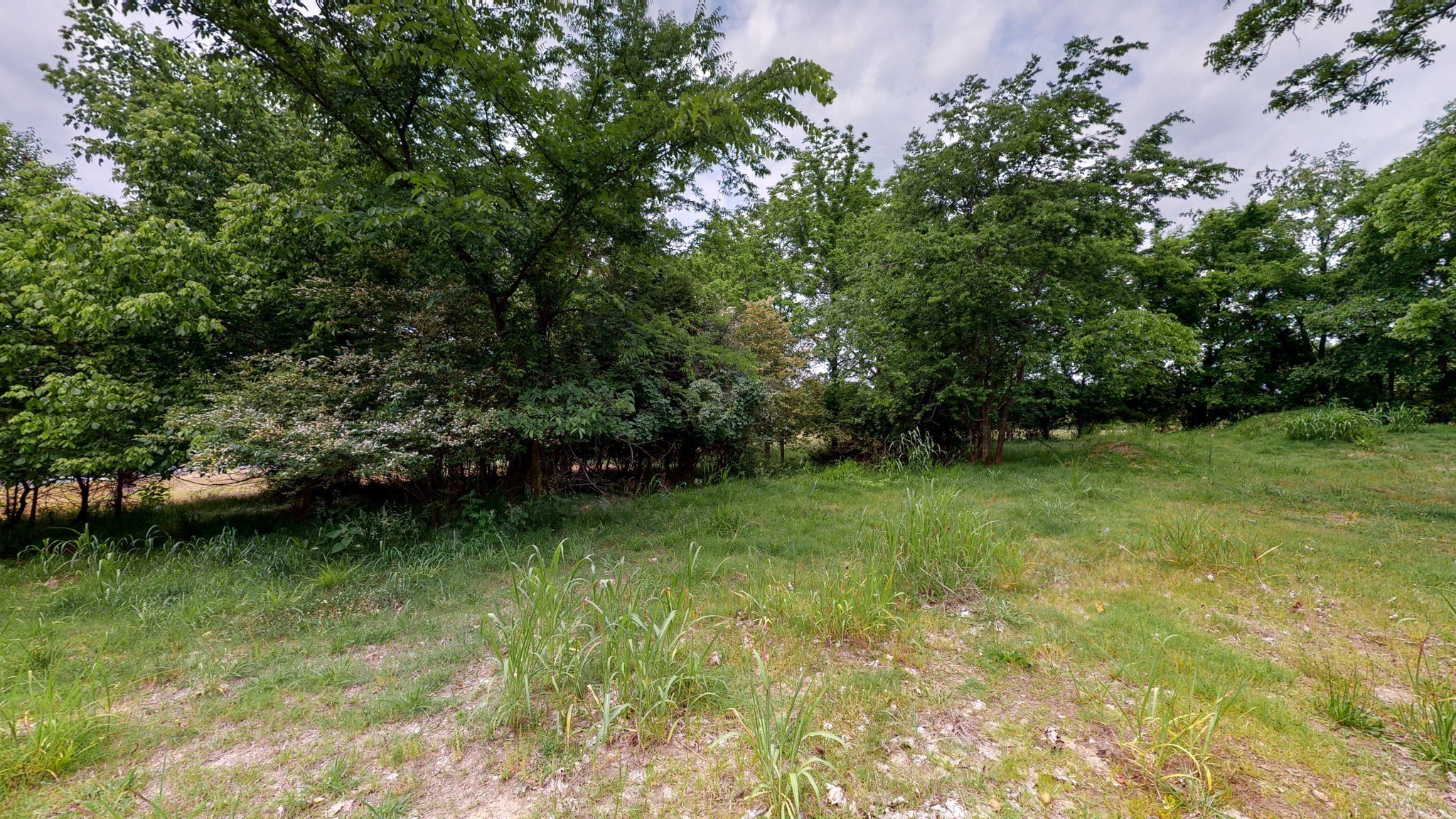 10615 Lebanon Road Mount Juliet, TN 37122 - Photo 11 of 18 a view of a green yard