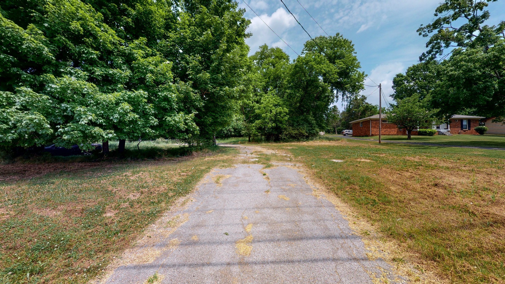 10615 Lebanon Road Mount Juliet, TN 37122 - Photo 17 of 18 a view of a yard with plants and large trees