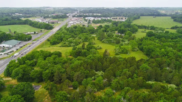 a view of a lush green hillside and houses