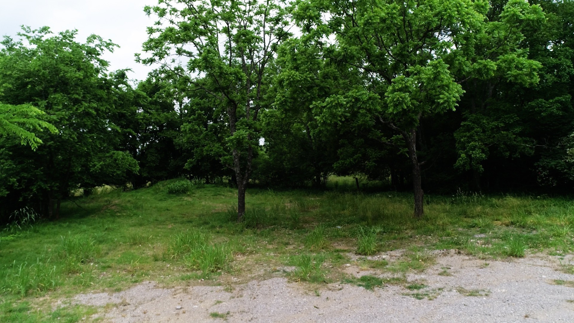 10615 Lebanon Road Mount Juliet, TN 37122 - Photo 2 of 18 a view of a park