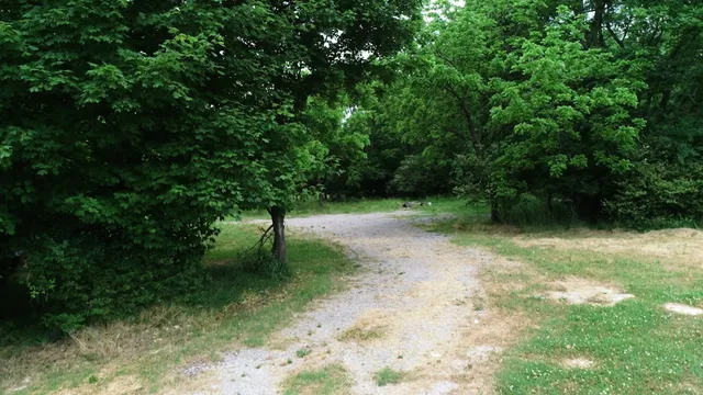 a view of outdoor space with trees all around