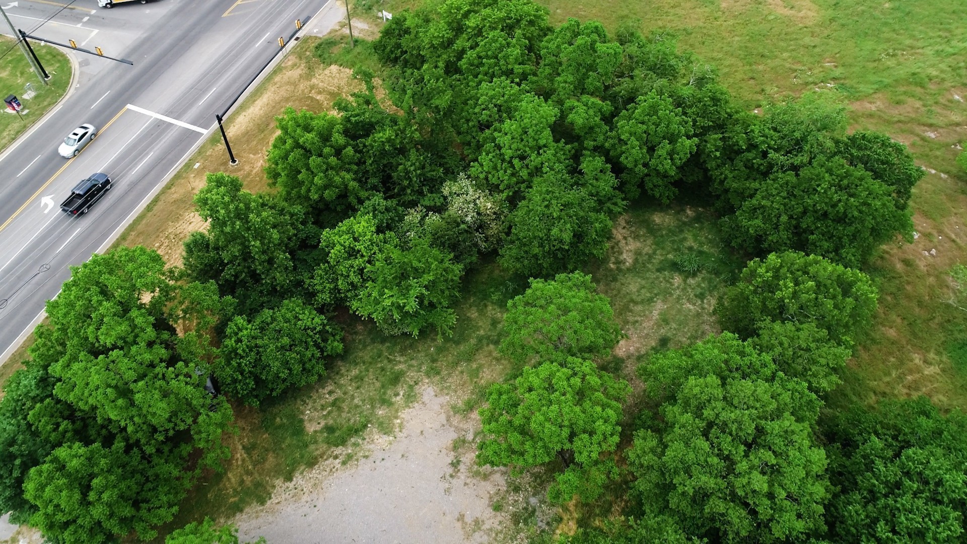 10615 Lebanon Road Mount Juliet, TN 37122 - Photo 7 of 18 a view of a lush green forest with lawn chairs