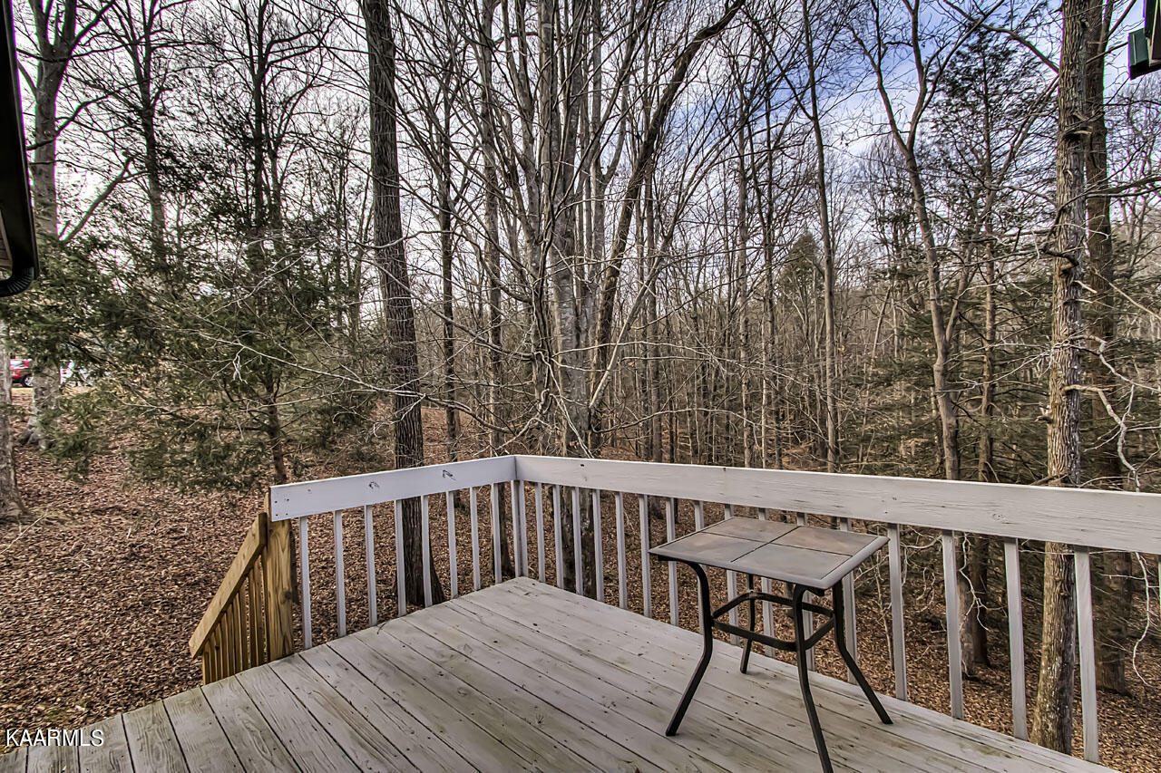 3131 6 Mile Road Maryville, TN 37803 - Photo 39 of 53 IMG_8306LR
