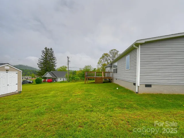 a view of a backyard with plants and large trees