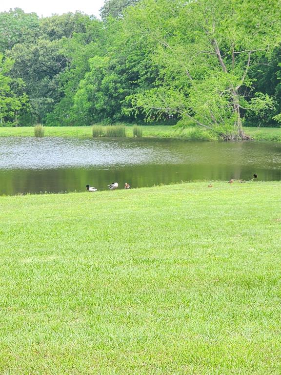 191 Sioux Quitman, TX 75783 - Photo 17 of 23 a view of a lake with houses in the back