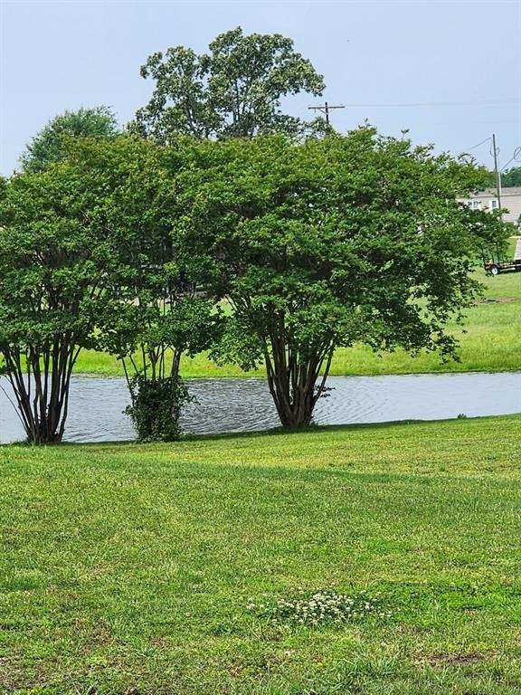 191 Sioux Quitman, TX 75783 - Photo 20 of 23 a view of a yard with a tree