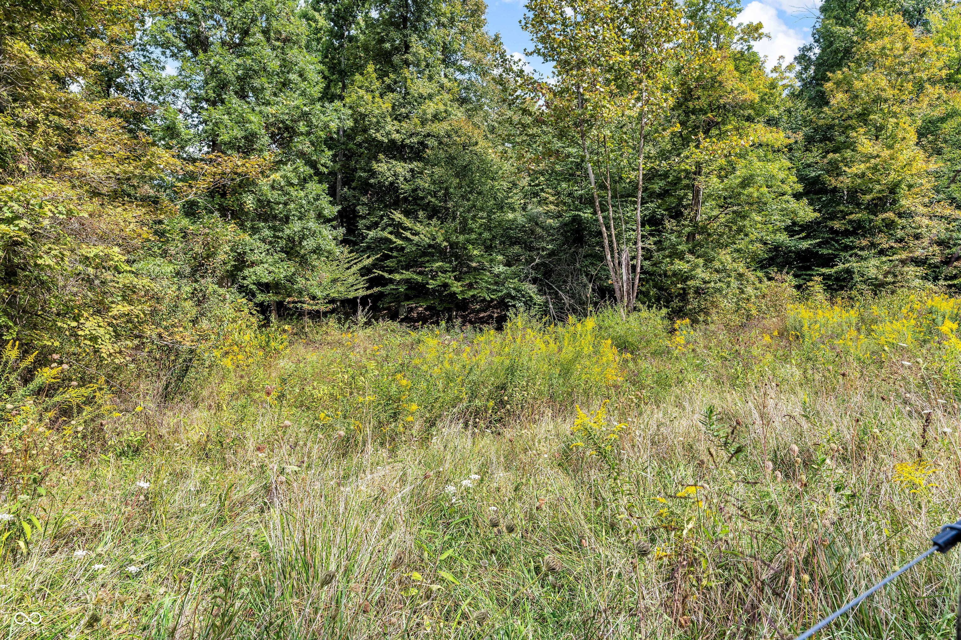 0 300th West Cloverdale, IN 46120 - Photo 4 of 6