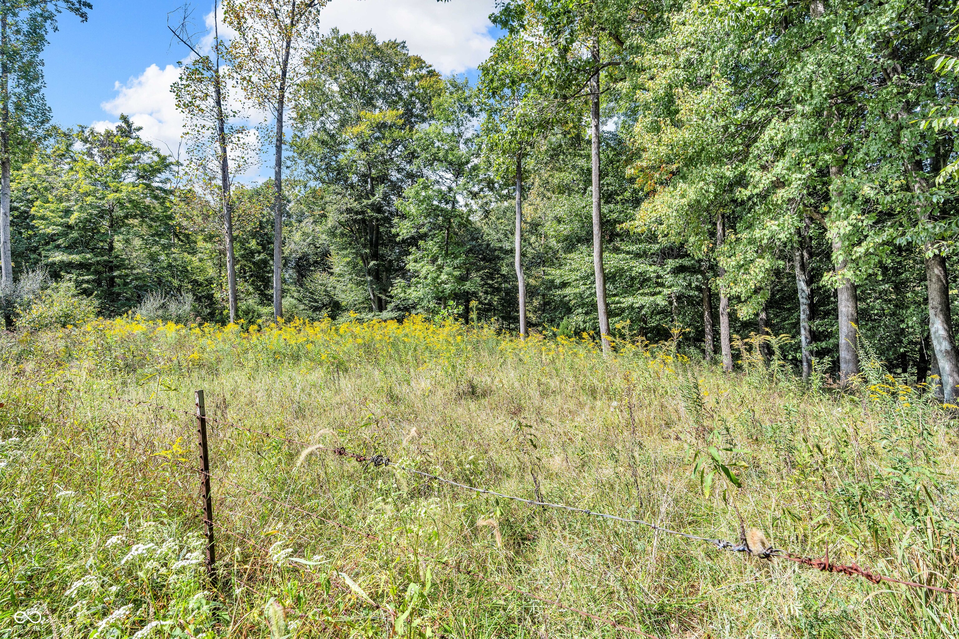 0 300th West Cloverdale, IN 46120 - Photo 5 of 6