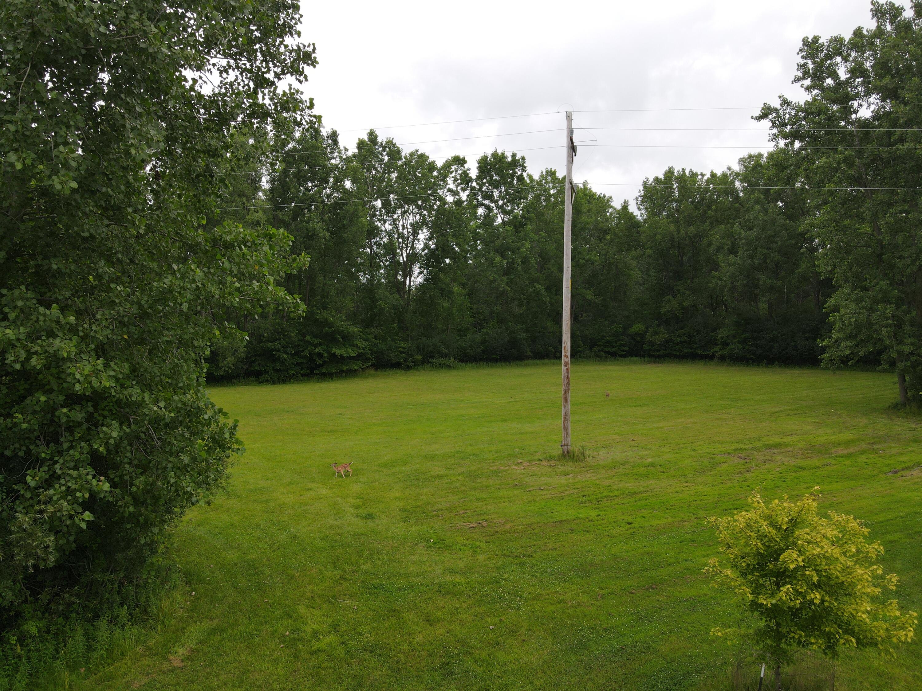 2315 Weigl Road Saginaw, MI 48609 - Photo 75 of 154 DJI_0499