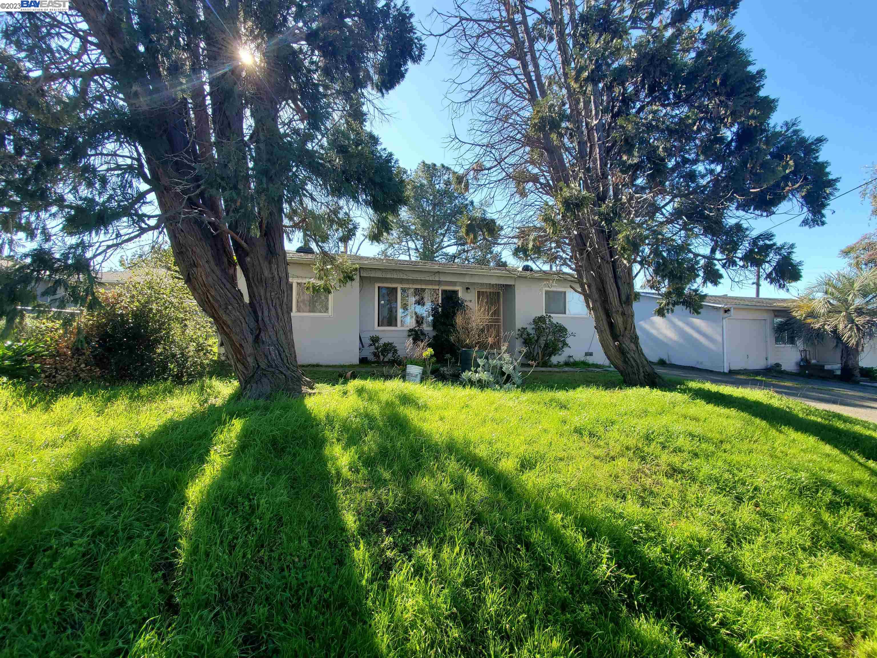 a front view of house with yard and green space