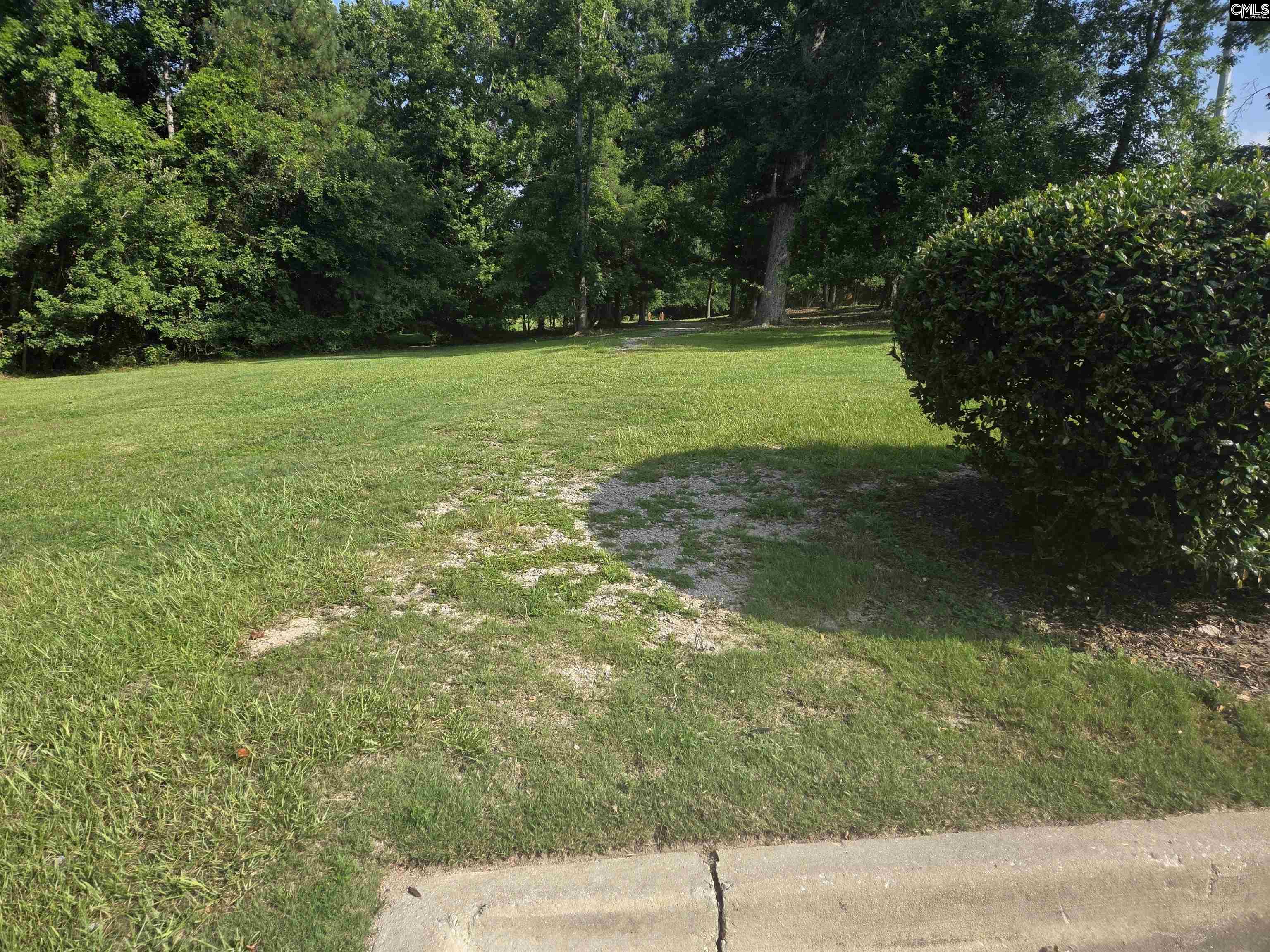 216 Faskin Lane Lexington, SC 29072 - Photo 57 of 60