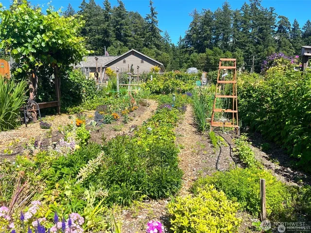 a view of a house with a tree in the background