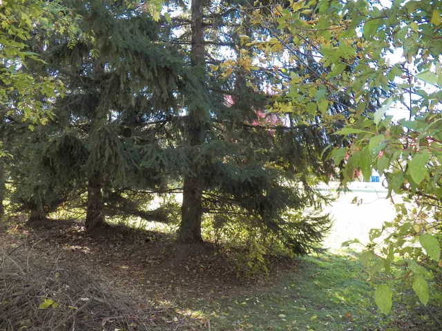 $65,000 | 205 West Haven Court, Unit 9, Luxemburg, WI 54217