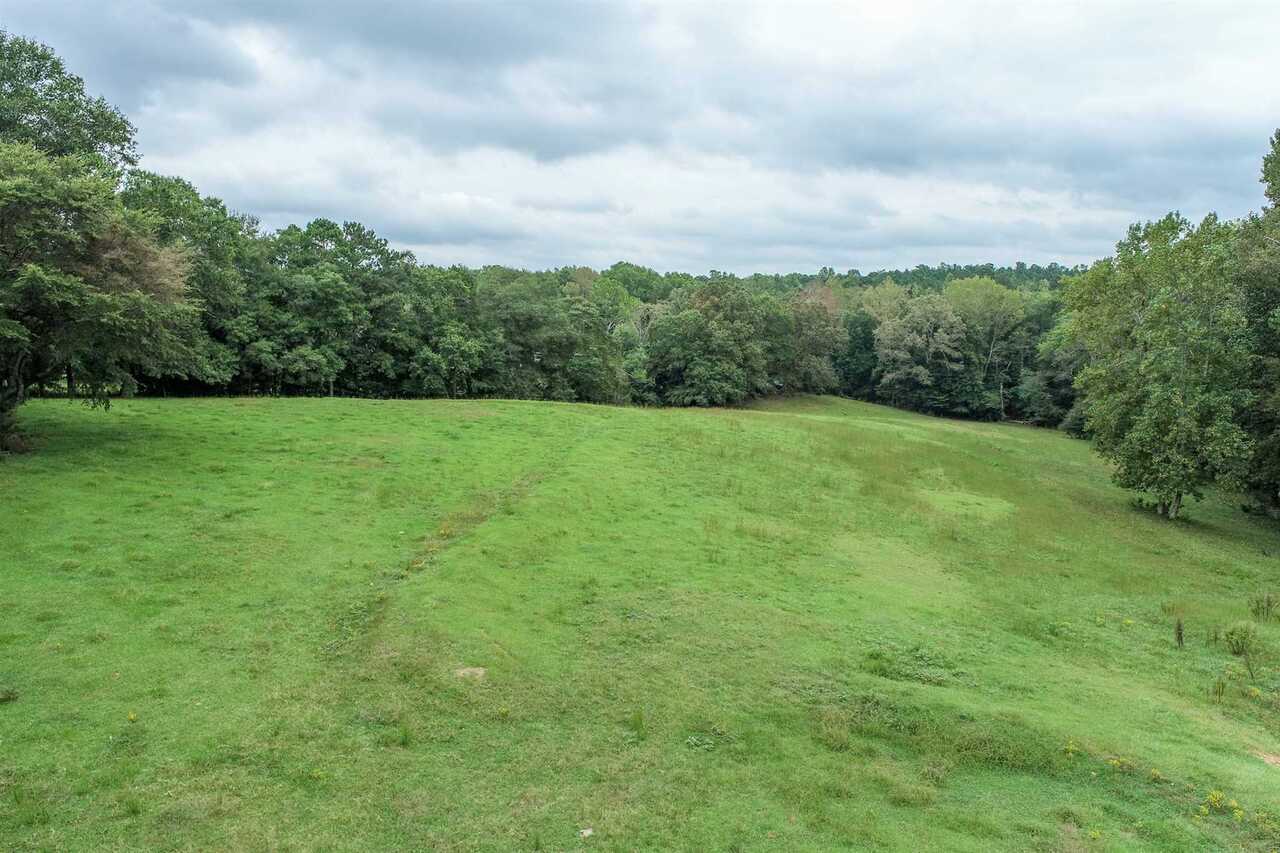 0 Smokey Road, Unit C Athens, GA 30601 - Photo 1 of 1