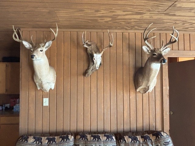 11943 Cr 310 Rocksprings Tx 78880 Rocksprings, TX 78880 - Photo 17 of 61 a view of a balcony with wooden floor