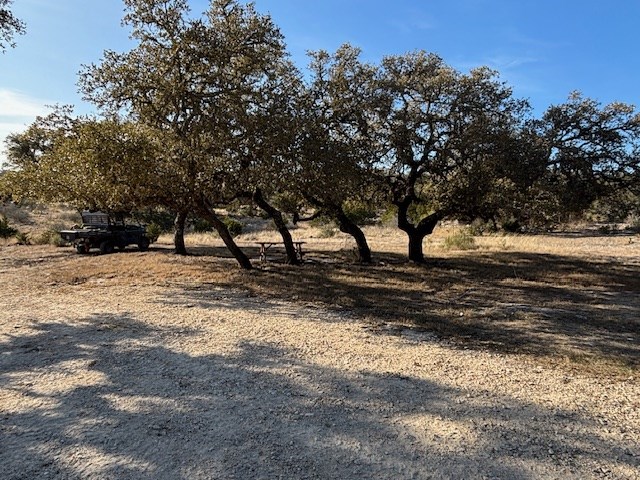 11943 Cr 310 Rocksprings Tx 78880 Rocksprings, TX 78880 - Photo 26 of 61 a view of a yard with a tree