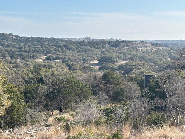 11943 Cr 310 Rocksprings Tx 78880 Rocksprings, TX 78880 - Photo 39 of 61 an aerial view of houses covered in trees