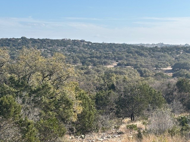 11943 Cr 310 Rocksprings Tx 78880 Rocksprings, TX 78880 - Photo 40 of 61 an aerial view of houses covered in trees
