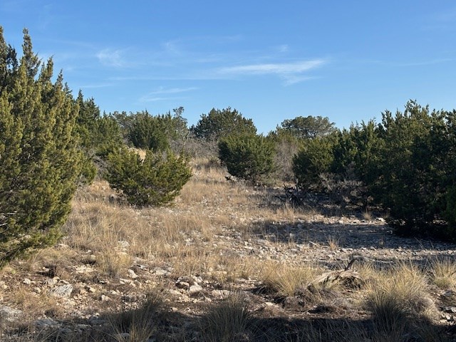 11943 Cr 310 Rocksprings Tx 78880 Rocksprings, TX 78880 - Photo 44 of 61 a view of a yard with a tree