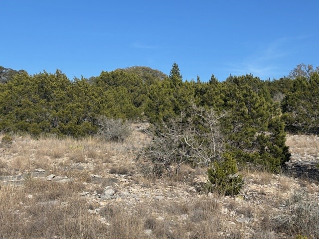 11943 Cr 310 Rocksprings Tx 78880 Rocksprings, TX 78880 - Photo 45 of 61 a view of a field
