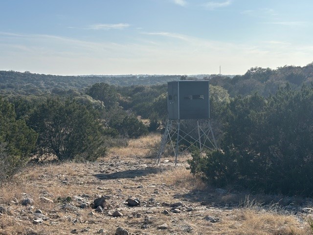 11943 Cr 310 Rocksprings Tx 78880 Rocksprings, TX 78880 - Photo 47 of 61 a view of a yard